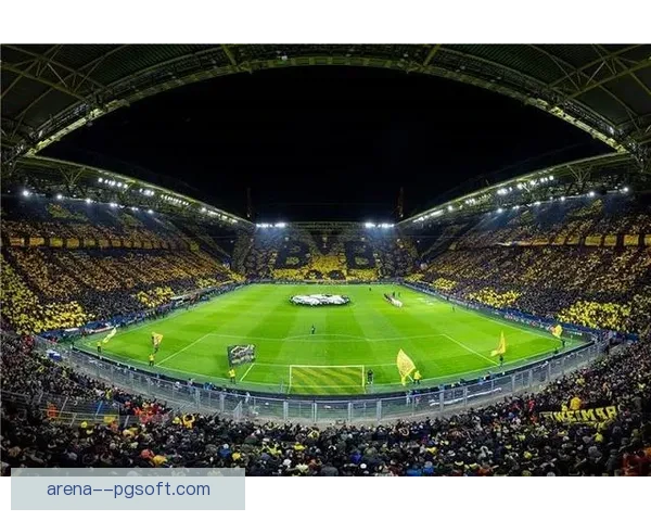 多特蒙德球迷欧冠半决赛主场震撼展示巨型黄黑TIFO震撼全场